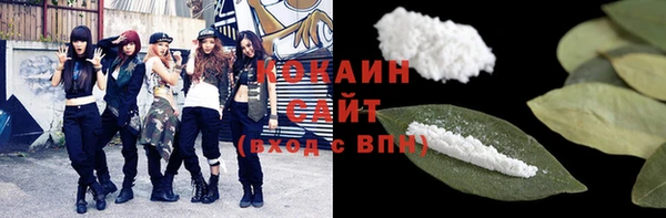 сатива Мегион