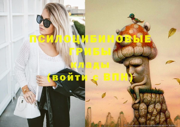 сатива Мегион
