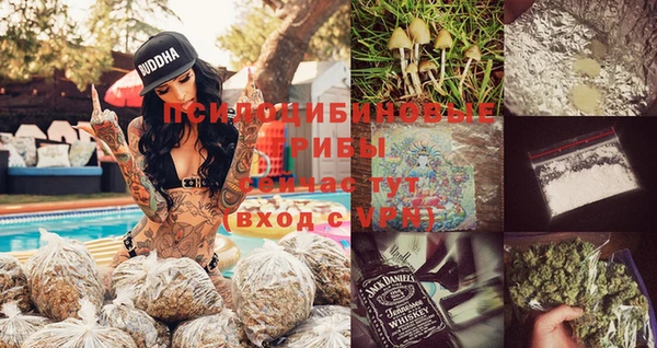 сатива Мегион