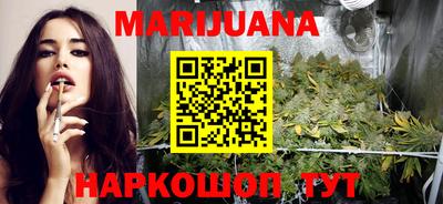 гидропоника Гатчина